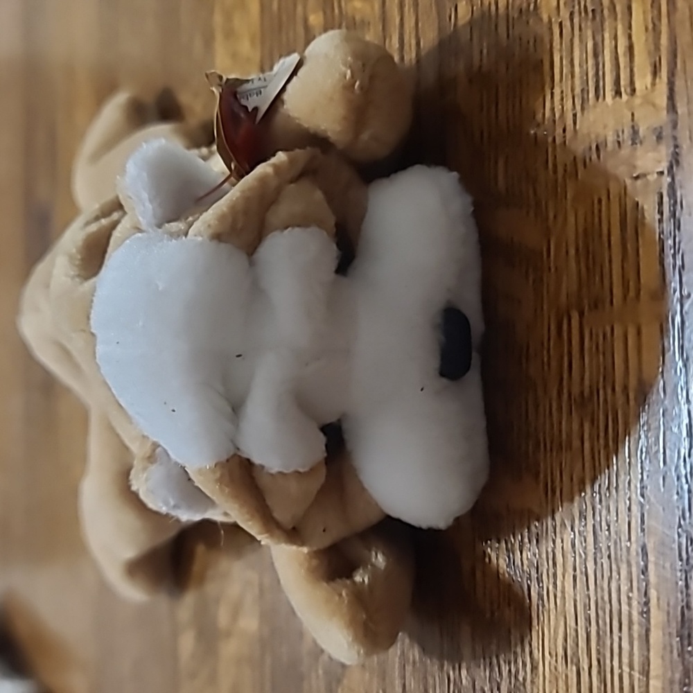 𝅺vtg Beanie Babies ty Wrinkles The Bulldog